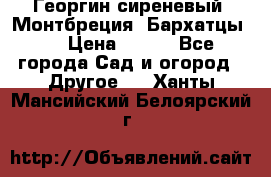 Георгин сиреневый. Монтбреция. Бархатцы.  › Цена ­ 100 - Все города Сад и огород » Другое   . Ханты-Мансийский,Белоярский г.